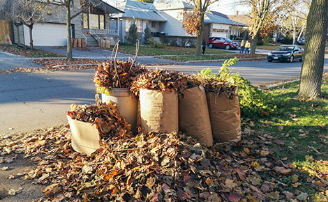 yard waste removal service in Nashville TN